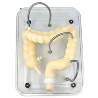 Modèle de formation en coloscopie scientifique médicale, simulation souple de l'organisme du côlon pour modèle d'enseignement