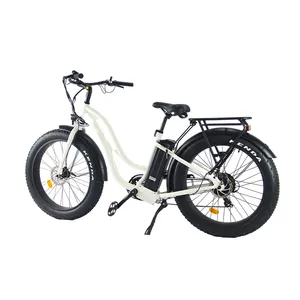 Fabrika doğrudan satış 26 inç yağ lastikleri elektrikli şehir bisikleti 15Ah uzun menzilli Ebike 250W 500W elektrikli bisiklet