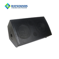 Amplificateur de guitare acoustique portable rechargeable 40W double 6,5 pouces avec microphone sans fil pour l'extérieur