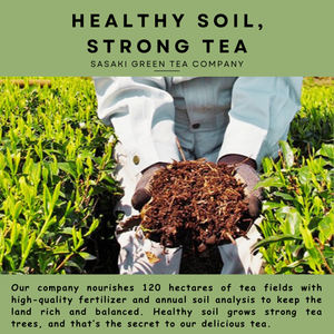 Té Halal de alta calidad de lujo, proveedor de polvo festivo Premium japonés, Matcha de grado ceremonial, venta al por mayor de Japón - Product Image 4