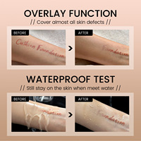 Poudre pressée longue durée de bouffée de coussin d'air de crème minérale de BB pour la caractéristique d'éclaircissement de maquillage de visage