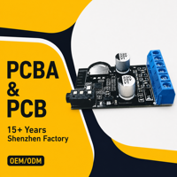 Module PCBA d'amplificateur de puissance audio stéréo sans fil à double canal 25W