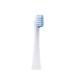 Electric <strong>Toothbrush</strong> Heads Manufacture Adult <strong>Toothbrush</strong> Head for Pana Sonic - Product Image 4