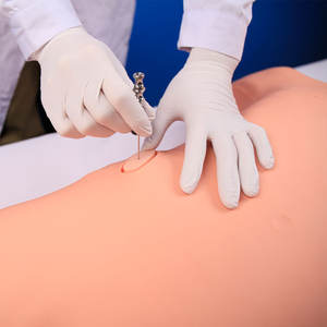 Paracentese Training Manikin Beenmergaspiratie Trainingsmodel Voor Hematologie En Medische Klinische Vaardigheidspraktijk - Product Image 2