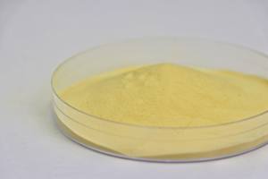 Bacillus Coagulans en Polvo Liofilizado |   Un probiótico altamente activo que forma esporas, el "regulador del equilibrio" para la <span class=keywords><strong>flora</strong></span> <span class=keywords><strong>intestinal</strong></span> - Product Image 2