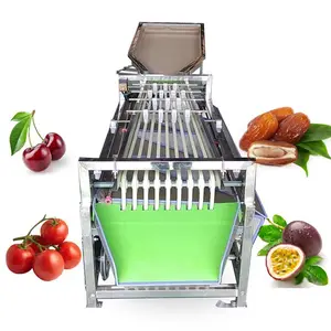 Fruit And Vegetable Sorter Cherry Date Size Grading Sorting Machine Passion Fruit Sorter