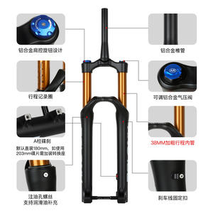 Fourche de vélo de montagne Bolany, 38 mm de diamètre, 29 pouces, ressort à air, réglage du rebond, axe QR - Product Image 2