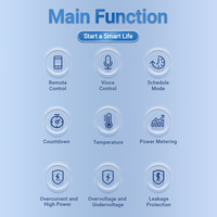 Disjoncteur intelligent ZigBee Tuya avec protection contre les courants résiduels, mesure de consommation, application mobile et programmation, pour usage intérieur
