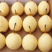 Groothandelsprijs Verse Witte Peer Chinese Leverancier Import Bulk Kroonpeer uit Shandong 12cm