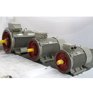 Motore Asincrono Trifase Serie Y2 Certificato CE con Alloggiamento in Ghisa a Risparmio Energetico - Product Image 5