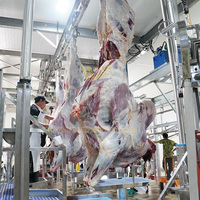 Máquina Automática para el Sacrificio de Vacas con Garantía de 3 Años, Equipo para Mataderos de Ganado, Procesamiento de Carcasas