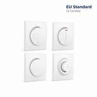 Prise murale de luxe UE en laiton de 0,6 mm d'épaisseur, haute conductivité, 10A 250V, certifiée CE, pour projets hôteliers