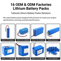 Pack de batteries 18650 personnalisé 11.1V 12V 3S2P 5000mAh 6000mAh pour enceinte Bluetooth