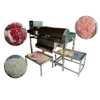 Automatische Peeling Granaatappel Grapefruit Mandarijn Passievrucht Zaad Verwijderen Machine Fruit Pulp Separator Machine