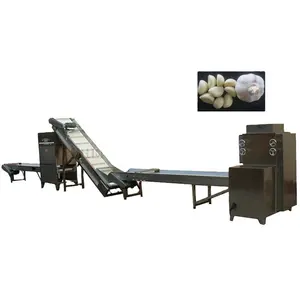 Best Price Garlic Clove Machine / Garlic Processing Line / Garlic Powder Processing Plant