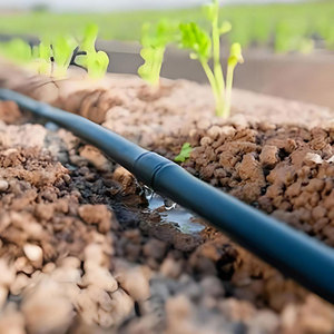 Hot New <b>Products</b> 16mm Plastic Drip Pipe 20-50 Spacing Agricultural & Garden Irrigation for Greenhouse - Product Image 3