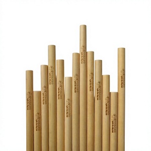 Pailles en bambou naturelles, tubes creux pour bars, cafés, centres de villégiature, événements, emballage personnalisé, Vietnam - Product Image 1