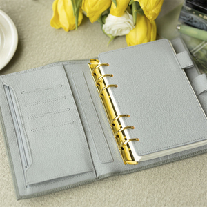 LTZGO Raccoglitore Ad 6 Anelli, Budget Binder Con 40Pezzi, Per Bilancio - Foto 9