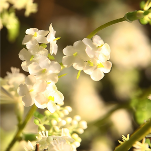 ดอกไม้ประดิษฐ์ไหมสีขาวชมพู ก้านเดี่ยว ยาว 100 ซม. คุณภาพสูง สำหรับตกแต่งงานแต่งงาน งานปาร์ตี้ และบ้าน - Product Image 3