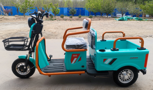 Chine 48V 600/800W motos à trois <span class=keywords><strong>roues</strong></span> personnes âgées <span class=keywords><strong>3</strong></span> <span class=keywords><strong>roues</strong></span> <span class=keywords><strong>moto</strong></span> Cargo Tricycle électrique pour adultes - Product Image 3