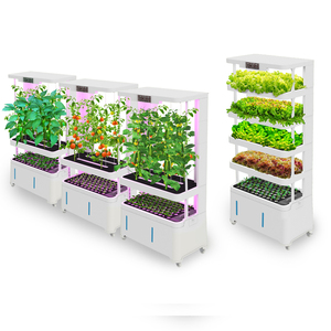Sistema Hidropónico Vertical con Lámpara LED Desmontable con Control Remoto para Cultivo en Invernadero de Jardín para Vegetales y Frutas - Product Image 4
