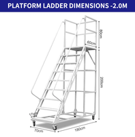 Échelle mobile multifonctionnelle avec plateforme de travail, passerelle industrielle, escalier en acier, design moderne pour usage en entrepôt