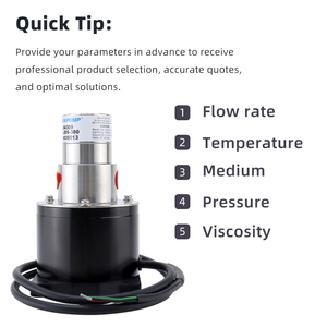 2-3 LPM Mini Gear <b>Pump</b> Brushless Motor <b>Small</b> Water Liquid <b>Pump</b> SS316L Body Micro Magnetic Gear <b>Pump</b> - Product Image 6