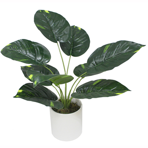 MINI plantes de TABLE pour la décoration, nouveau STYLE - Product Image 5