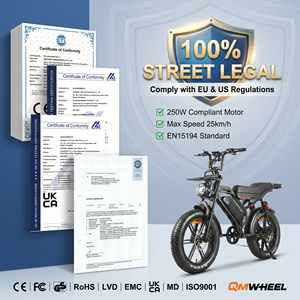 Vélo électrique QMHEEL S20 Pro pour trajets quotidiens avec pneus tout-terrain et siège confortable pour les commandes en gros, livraison depuis l'entrepôt UE et les stocks US/AU. - Product Image 2
