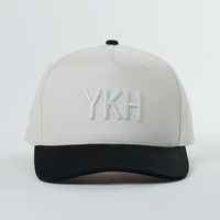 Hoge kwaliteit op maat gemaakte LOGO 5-panel baseballcap voor heren, verstelbaar, katoen/polyester/stof, 3D geborduurde cap voor mannen