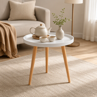 Table basse de salon au design minimaliste, gain de place, pieds en bois, plateau en plastique