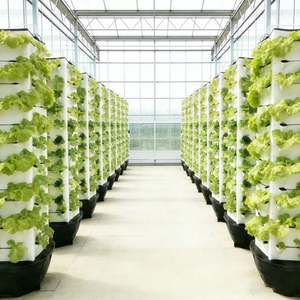 Sistema de Torre Hidropónica de Cinco Niveles, Torre de Cultivo Vertical sin Suelo, Equipo Hidropónico Modular África - Product Image 3