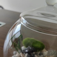 Vas terarium kaca borosilikat dekorasi DIY dengan tutup transparan ukuran kustom untuk RUMAH & kantor meja dinding vas tampilan bunga