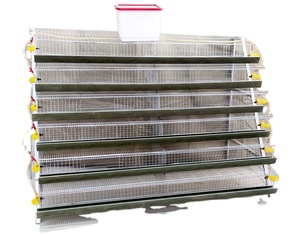 6 tiers Poultry farm layer quail cage with nipple drinker capacity 800 quails