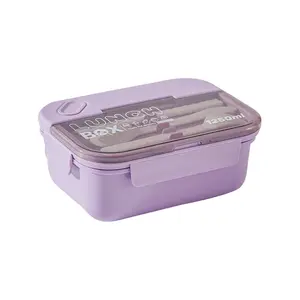 Plastic Picknick Bento Magnetron Voedsel Met Compartimenten Opbergcontainers Lunchbox Voor Meisjes Schoolkinderen Aanpassen Student 48