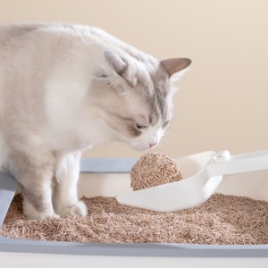 Arena para Gatos Versapet de Tofu, 2.5 kg, 6 Bolsas, Caramel Macchiato, Desechable por el Inodoro, Absorción Rápida, Control de Olores Superior - Product Image 6