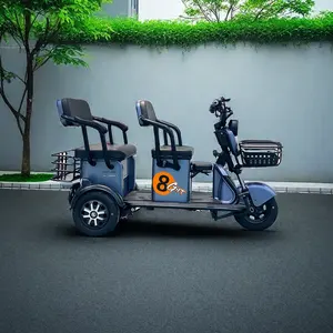 2024 ใหม่ขนาดที่กําหนดเอง 2 ที่นั่งผู้ใหญ่ 3 ล้อไฟฟ้า Cargo EBike 60V เปิด 3 ล้อรถสามล้อ