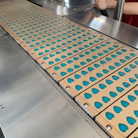 Offre Spéciale ligne de production de bonbons gommeux doux de petite capacité entièrement automatique ours bonbons gommeux faisant la machine