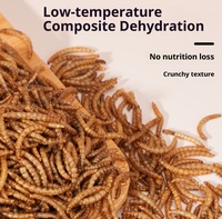 Alimentation pour oiseaux de qualité supérieure, riche en protéines, à base de vers de farine lyophilisés, sans céréales, écologique, nutritive, sans additifs