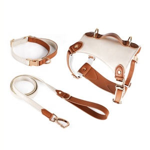 Correa y arnés para perros de alta calidad, artículos impermeables, accesorios para mascotas al mayor - Product Image 1