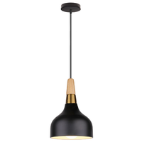 Luminaire suspendu nordique pour décoration de café, luminaires suspendus pour décoration de la maison, à placer à côté de la table