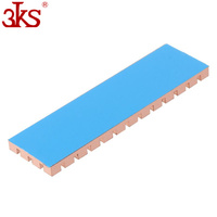 Adhésif conducteur thermique de radiateur de refroidisseur de radiateur de cuivre pour M.2 NGFF 2280 PCI-E NVME SSD