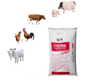 Phụ gia thức ăn chăn nuôi cho gia súc, gia cầm, gà và lợn: L-<span class=keywords><strong>Lysine</strong></span> 98.5% L-<span class=keywords><strong>Lysine</strong></span> HCL - Product Image 1