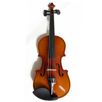 Hot Selling AIYI Maple Leaf Solid Wood Violin 4/4 with Spruce Top Low Price High Quality Violin
