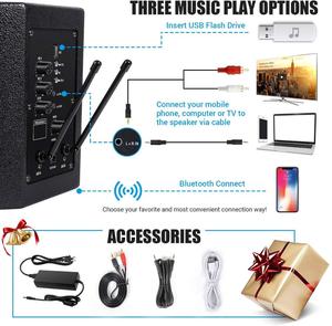Système de SONORISATION Karaoké Haut-Parleur Bluetooth Microphones Sans Fil Tenu Dans la main pour la Fête De Famille, de Réunion Intérieur Utilisation En Classe - Product Image 2