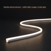 Bande LED néon flexible bicolore 12V 2835 120LEDs/m L10*H10mm 3000K Blanc Chaud Étanche IP68 USB Dimmable Éclairage Architectural
