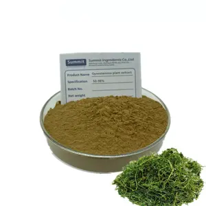 Wholesale High Quality Gynostemma Pentaphyllum Extract Gynostemma Plant Extract Gynostemma Extract Gypenosides Powder