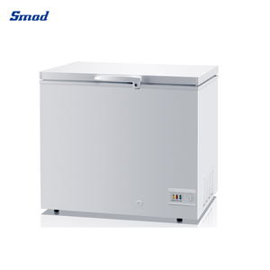 Congelador Horizontal Doméstico con Puerta de Espuma para Almacenamiento de Alimentos Fríos, 197l - Product Image 2