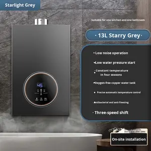 Usine de gros de haute qualité 6/7/8/10/12L chauffe-eau à gaz sans réservoir 13/15/16/20/24/32/36/40L chaudière à gaz instantané GPL/NG Geyser - Product Image 1