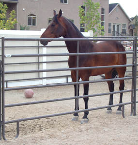 10ft 12ft Heavy Duty <strong>Used</strong> Metal Horse Fence <strong>Panels</strong>/<strong>Round</strong> <strong>Pen</strong> <strong>Panels</strong> Livestock Cattle <strong>Panels</strong>/Horse Corral <strong>Panels</strong> - Product Image 2